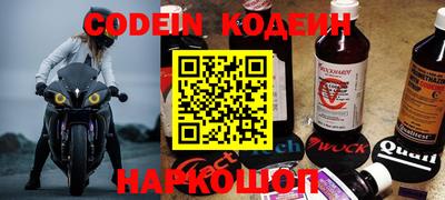 индика Можайск