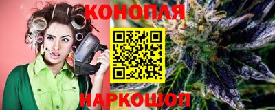 индика Можайск