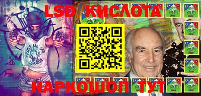 индика Можайск