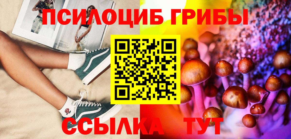 Галлюциногенные грибы прущие грибы Фролово